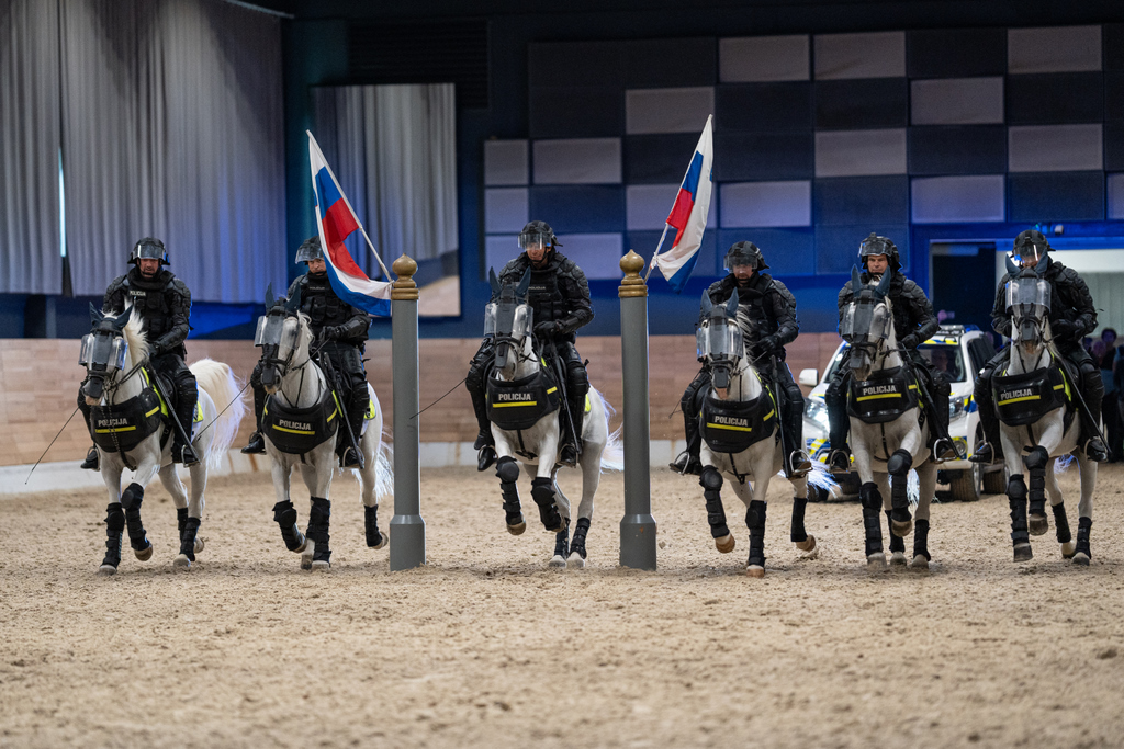 Šest policistov konjenikov v opremi Posebne policijske enote, med prikazom dela ob kršitvah javnega reda in miru.Foto Klemen Udovč