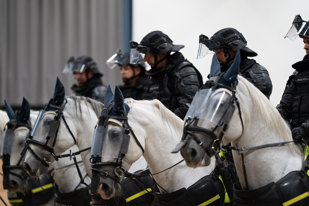 PKP50let Lipica 2024 Klemen Udovc 44