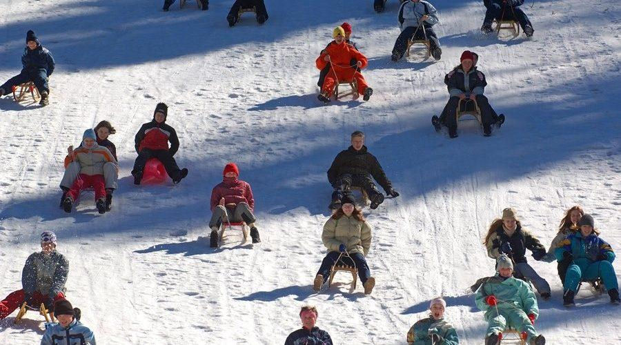 picture of several sledge riders on a ski slope