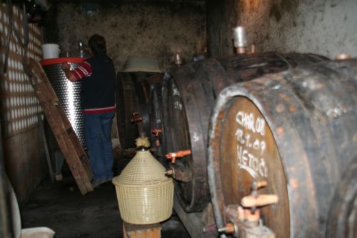 slika stare vinske kleti