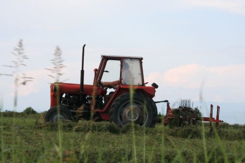 slika traktorja na polju